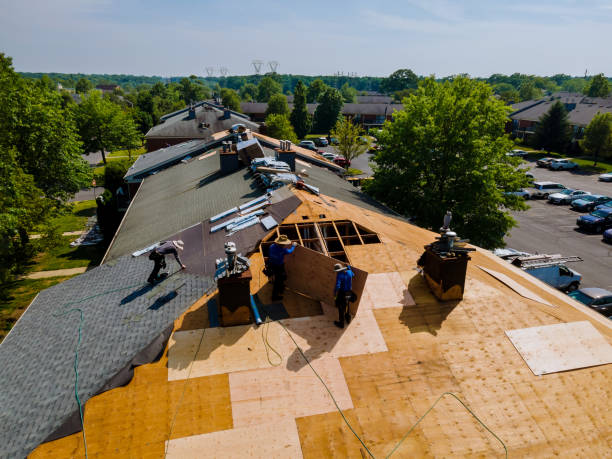 Roof Waterproofing Services in Vicksburg, MS